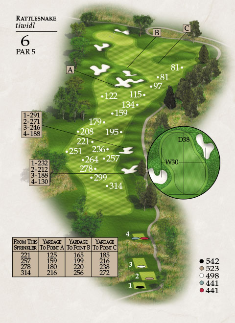 Hole 6 Map