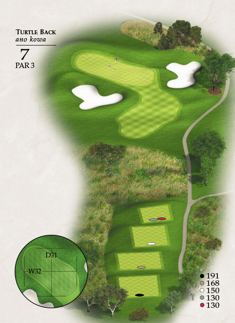 Hole 7 Map