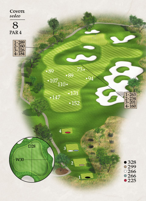 Hole 8 Map