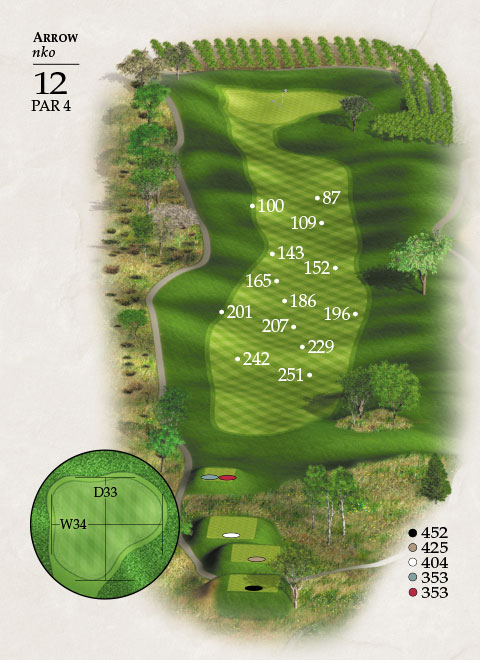 Hole 12 Map