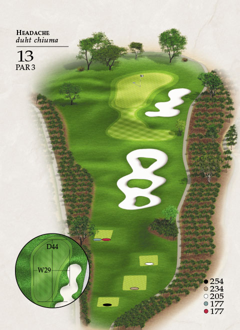 Hole 13 Map