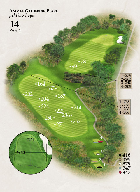 Hole 14 Map