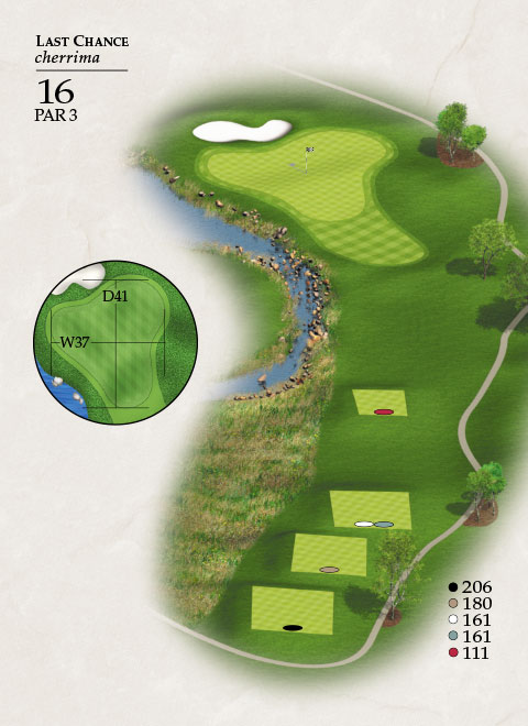 Hole 16 Map