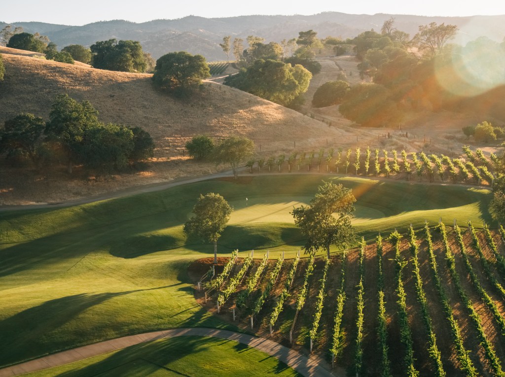 Field in golf course